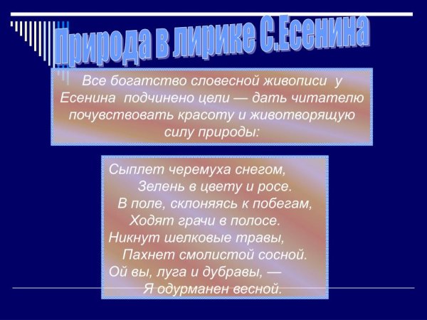 Словесное рисование