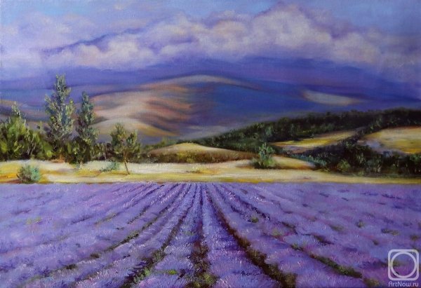 Гора Демерджи Лавандовое поле