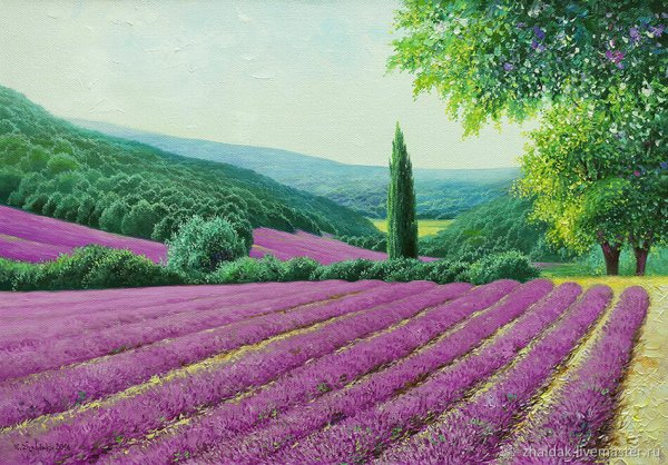 Жалдак Эдуард Лаванда