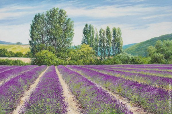 Картины маслом Лавандовые поля Прованс