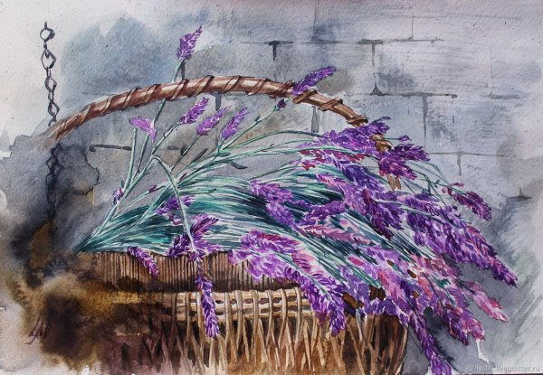 Лаванда живопись