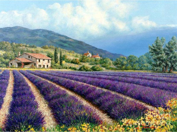 Художники Прованс Михаэль Свансон