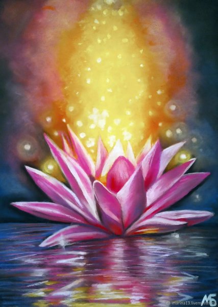 Лотос божественный цветок