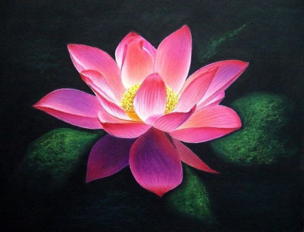 А Лоос картины