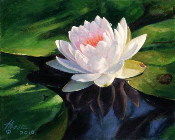 Лотос живопись маслом Wu Furong