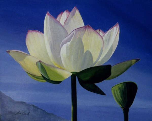 Лотос символизм