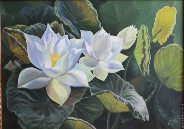 Лотос картина фен шуй