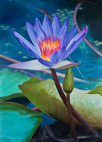 Озеро пастель кувшинки Лотос