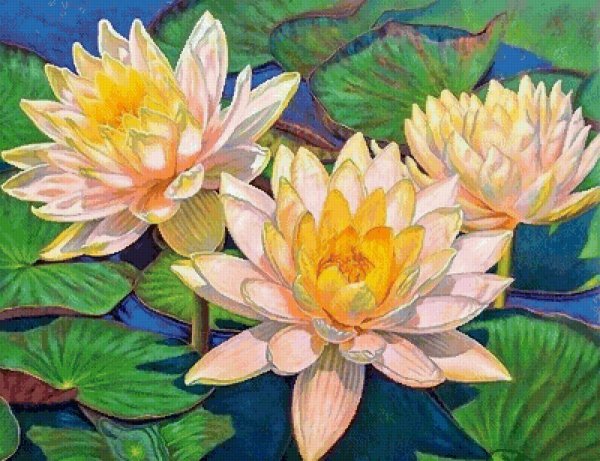 Лилия кувшинка