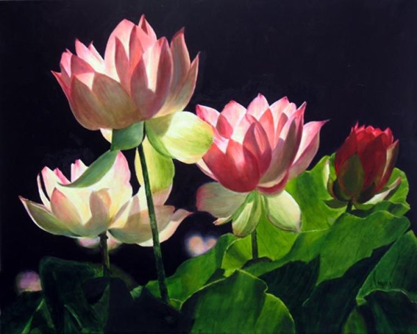 Цветы лотоса живопись