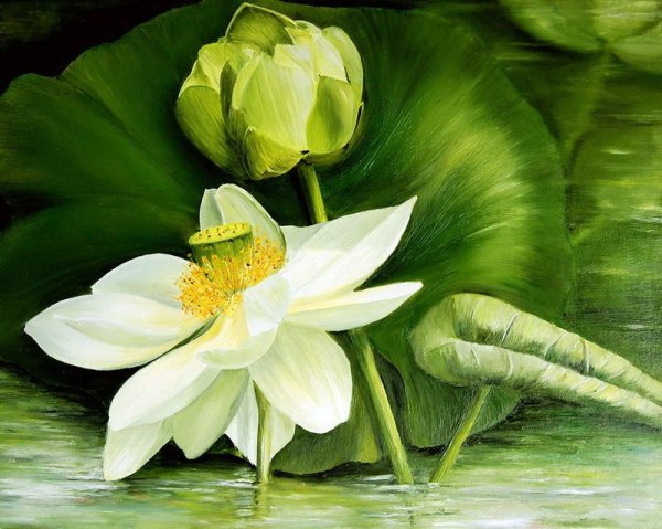 Акварели Marie-Claire Houmeau