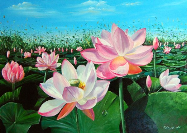 Красивые Лотосы живопись