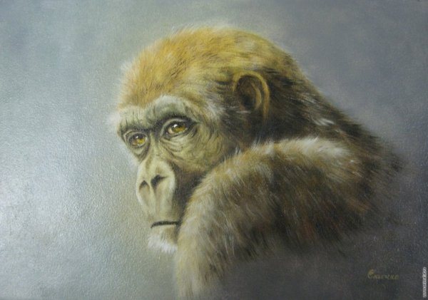 Крутые картины