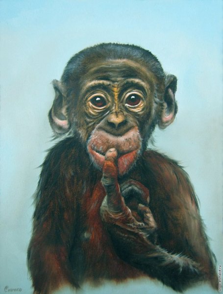 Горилла живопись