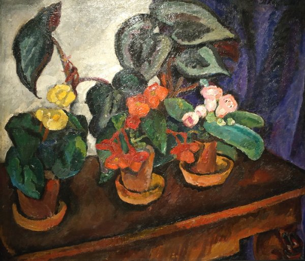 Кончаловский натюрморт с агавой