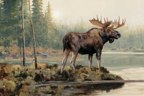 Анималист Ken Carlson.