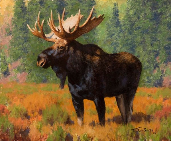 Джексон Хоул художник анималист