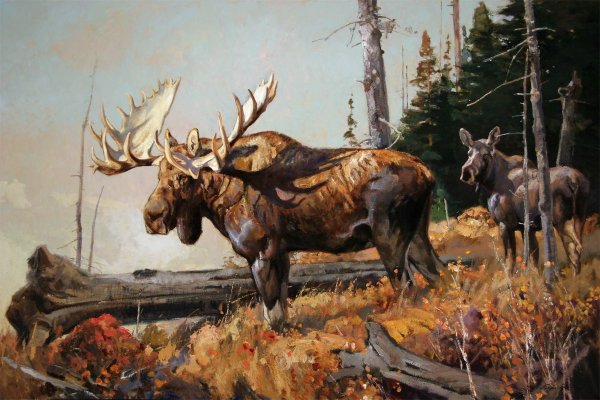 Картина лося с рогами