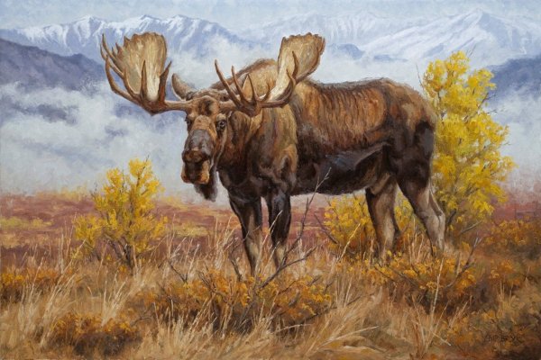 Robert Bateman Лось