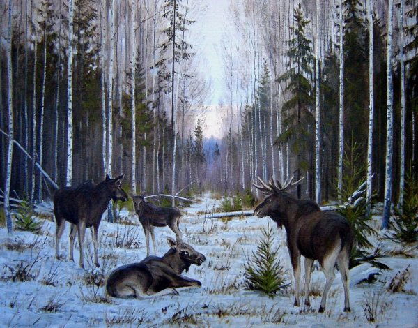 Лось картина классика