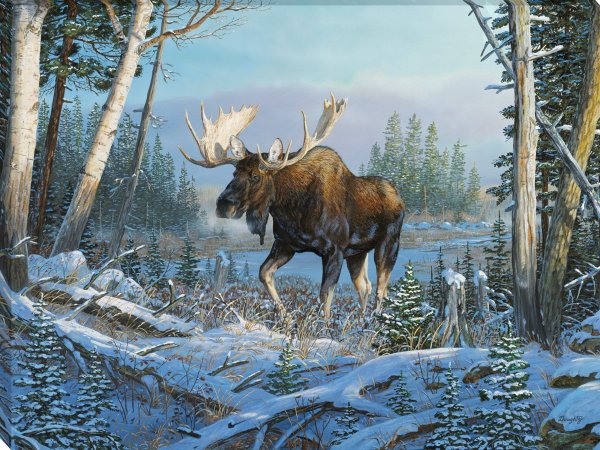 Лось живопись