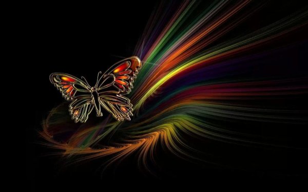 Бабочка на темном фоне