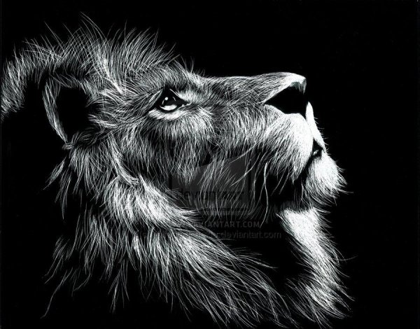 Граттаж Лев