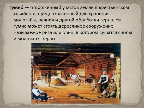 Сергей Виноградов на гумне