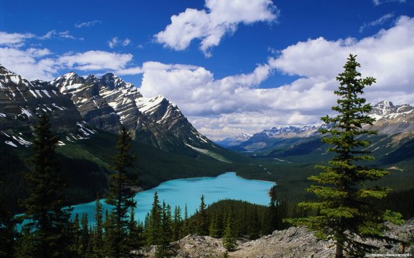 Фото 1200 300 пикселей