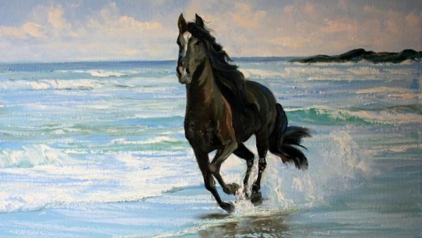 Лошадь бежит по морю