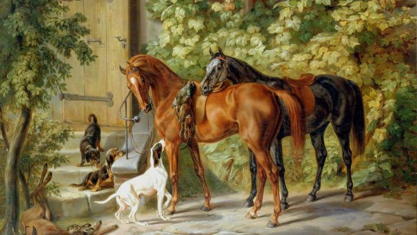Лошади у крыльца адам Альбрехт