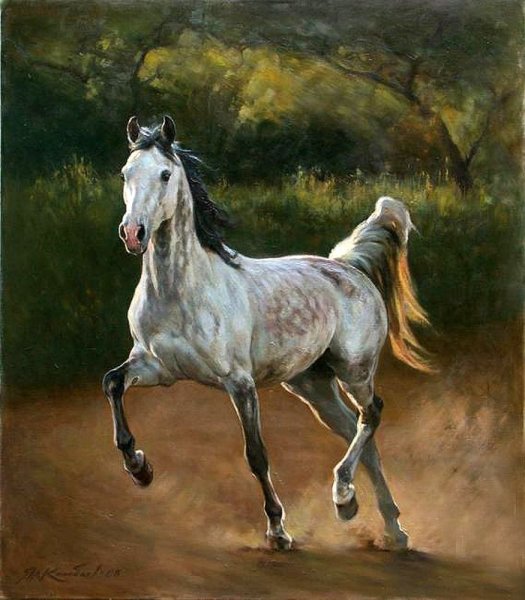 Ярослав Колобаев лошади