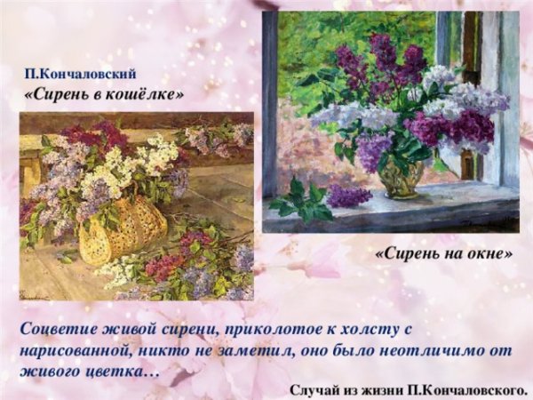 Кончаловский пётр Петрович сирень в окне