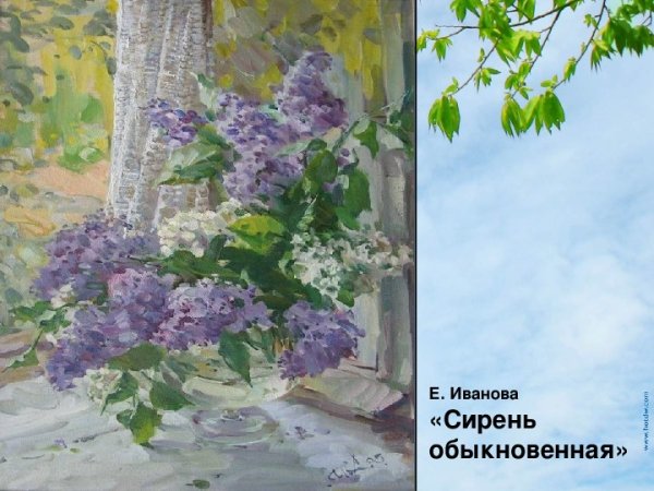 Петр Кончаловский художник сирень