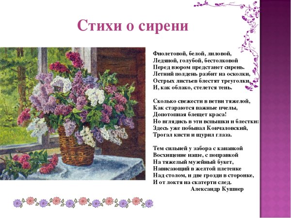 Сирень Моник п.п.Кончаловского