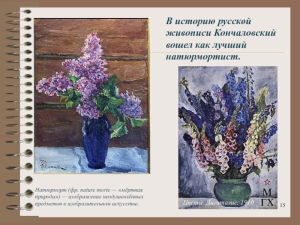 Кончаловский сирень биография