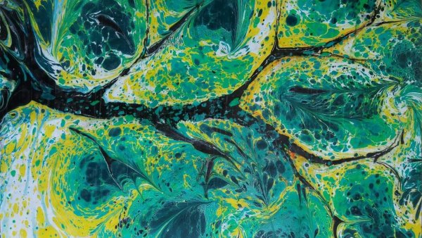 Турецкие картины эбру