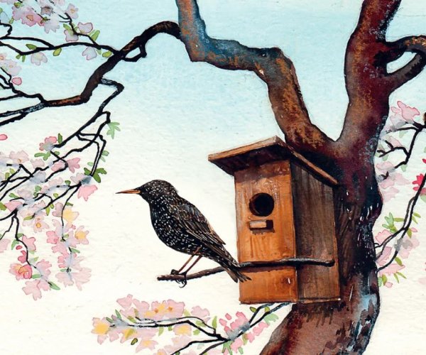 Солоухин о скворцах