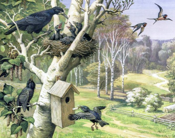 «Птицы весной» с.к.Артюшенко