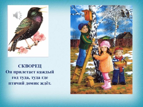 Март Грачи прилетели