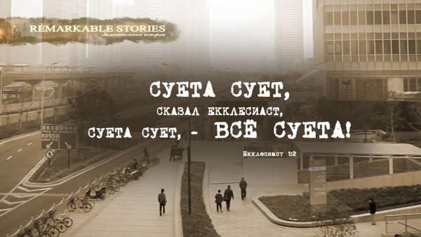 Цитаты про суету