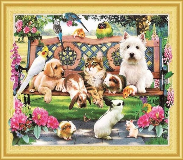 Рай домашних животных