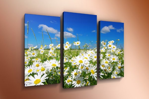 Картина 60х80