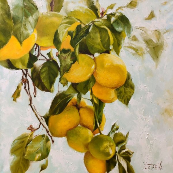 Ветка лимона