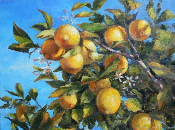 Лимонное дерево Позитано живопись