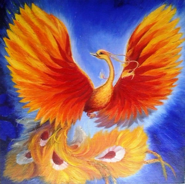 Желтый Феникс