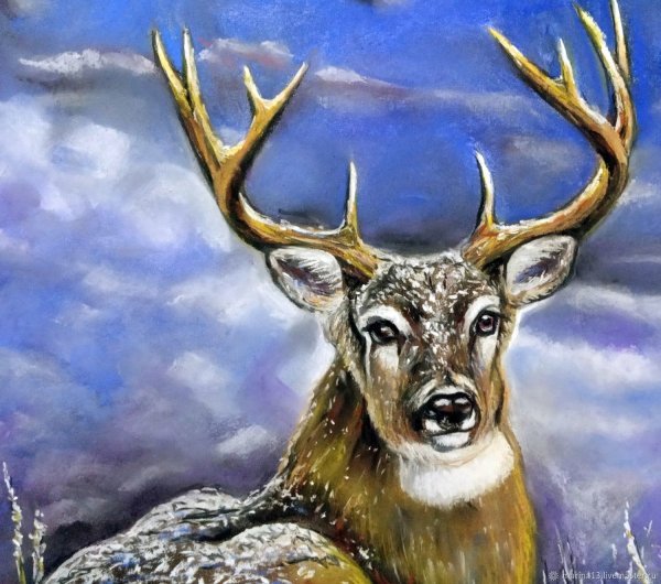 Олень картина маслом