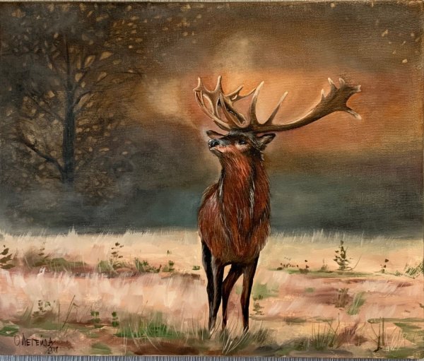 Картина олени