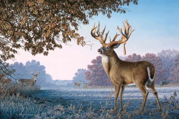 Северная олениха тундра художник