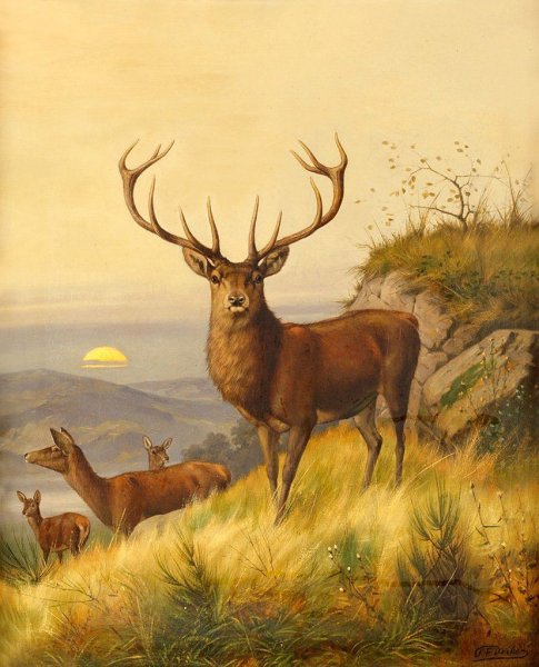 Карл Фридрих Дейкер картины